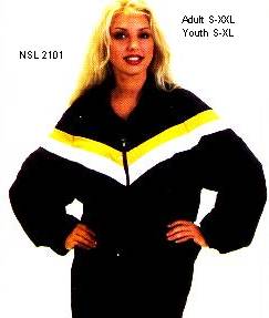 nsl2101.jpg